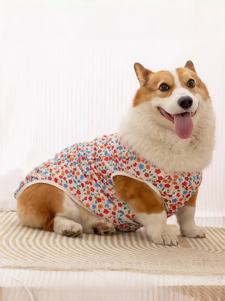 Cooling Summer Vest for Dogs & Cats
