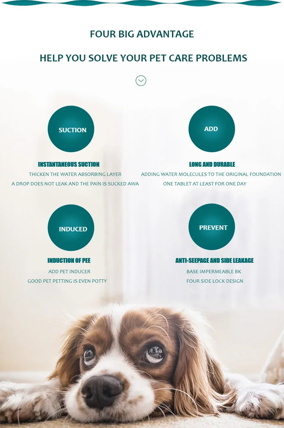 Reusable Washable Dog Pee Pads