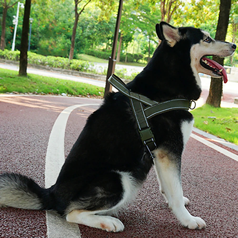Tactical No-Pull Dog Harness – 1000D Nylon