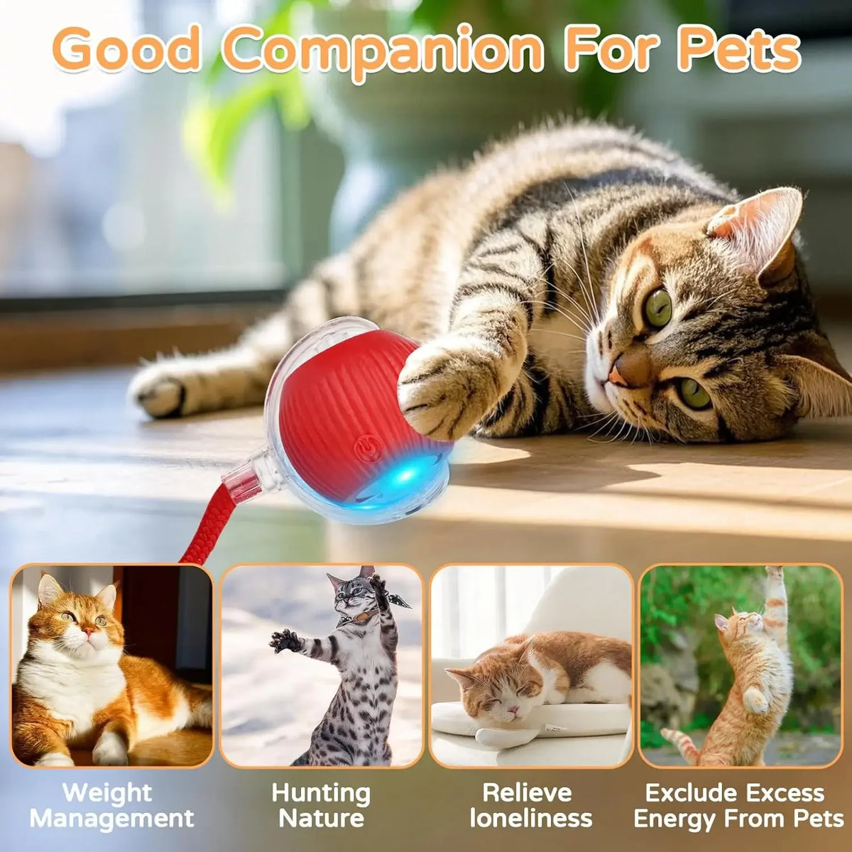 Automatic Rolling Cat Ball Toy