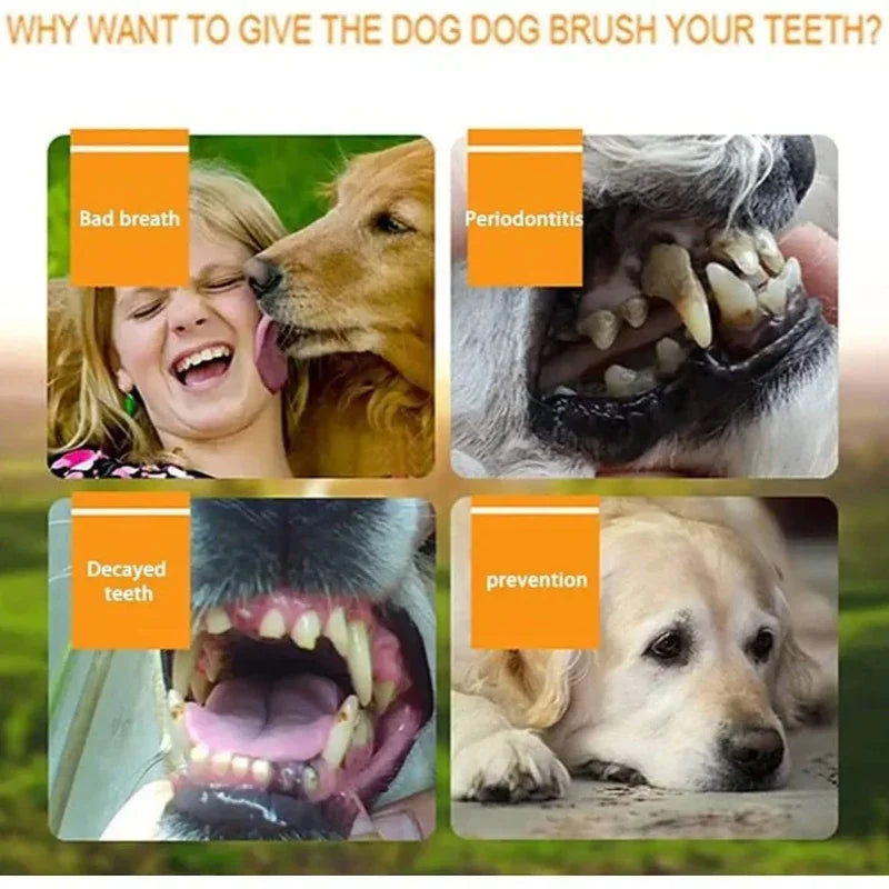 Pet Finger Toothbrush Kit – Soft Silicone