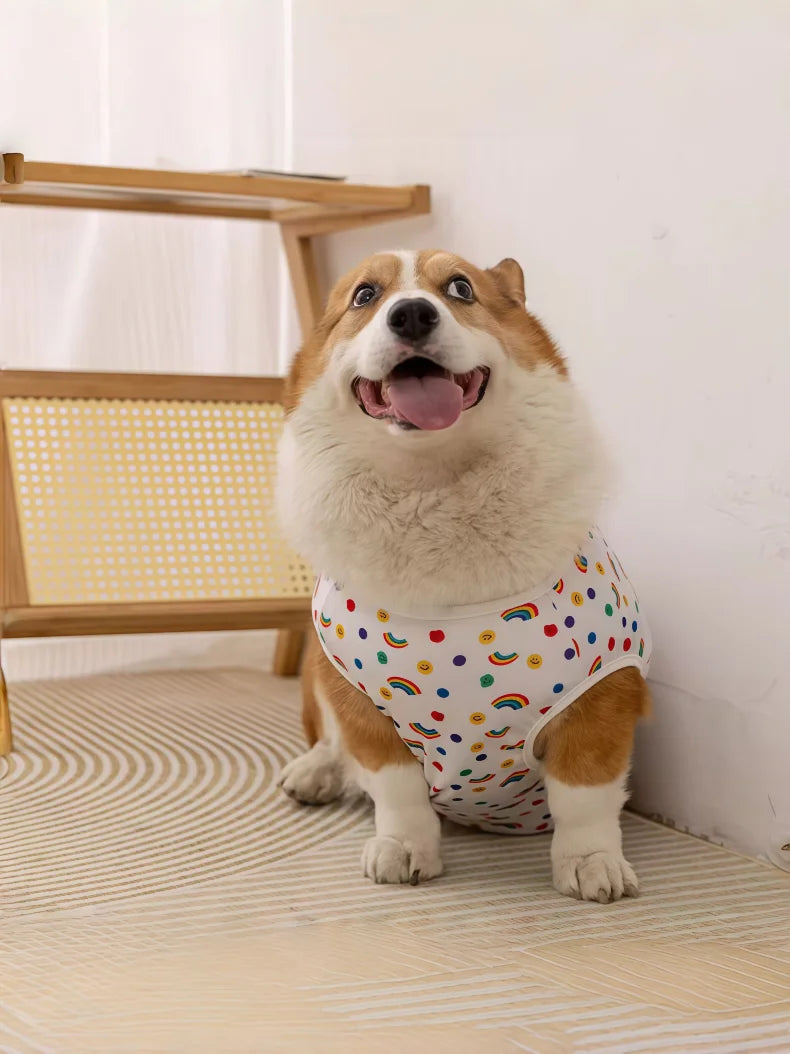 Cooling Summer Vest for Dogs & Cats