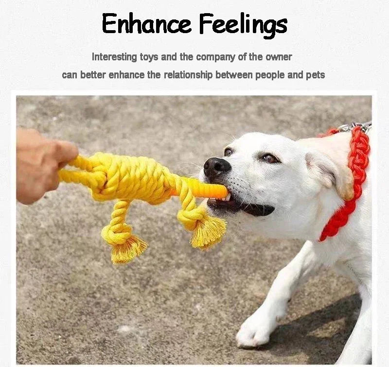 Dog Rope Toy – Carrot Knot