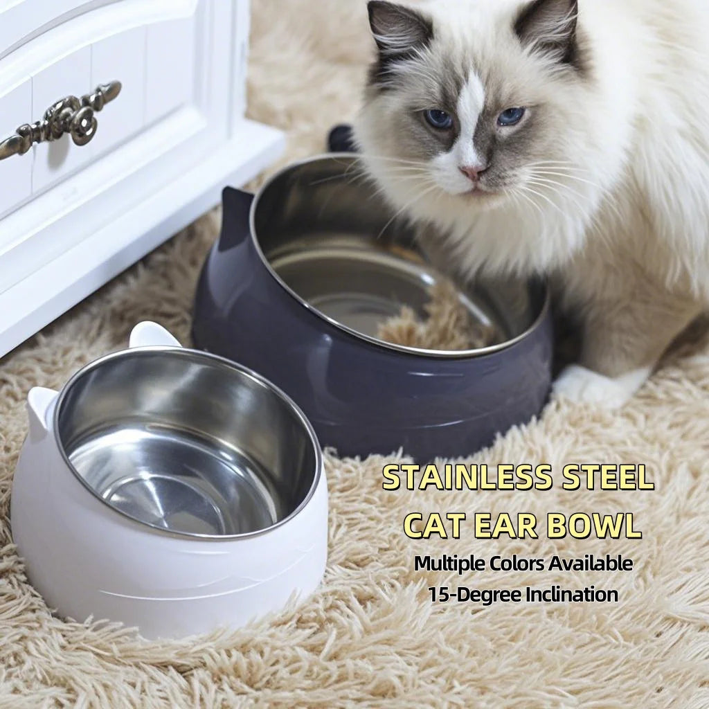Tilted Stainless Steel Double Pet Bowl