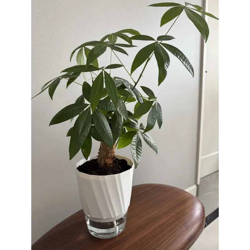 Self-Watering Planter – Double Layer