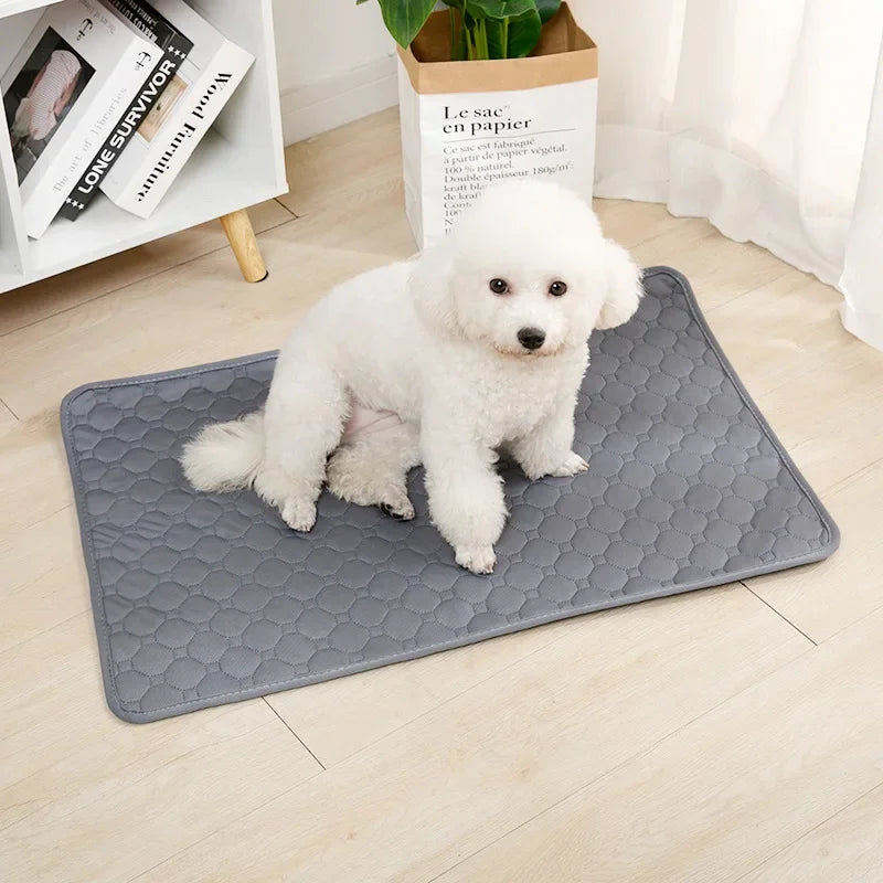 Reusable Washable Dog Pee Pads