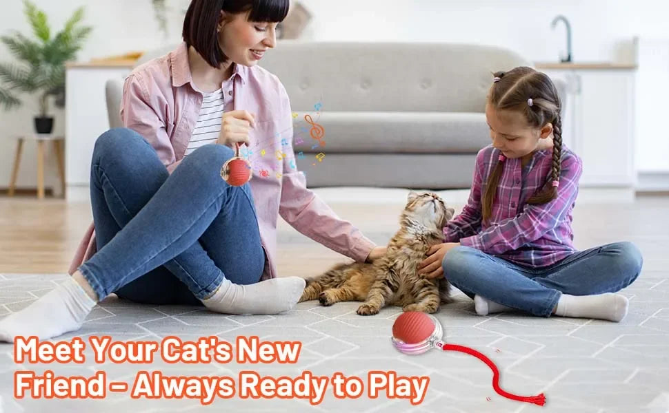 Automatic Rolling Cat Ball Toy
