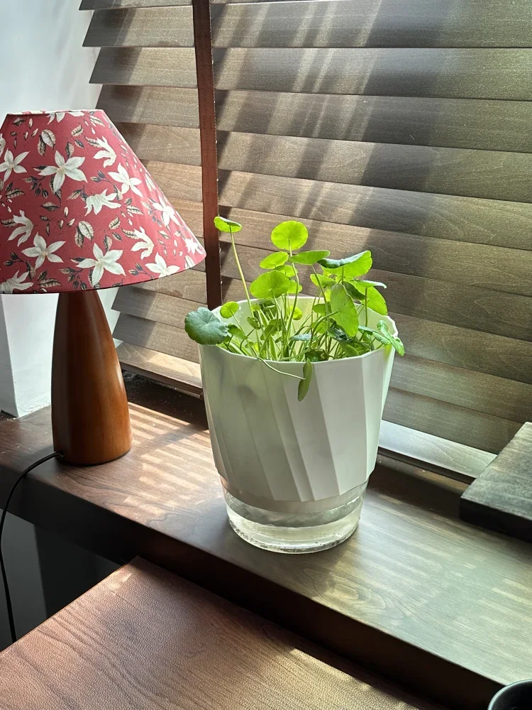 Self-Watering Planter – Double Layer