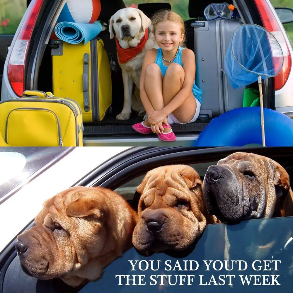 Dog Car Seat Belt – Adjustable Safety Leash