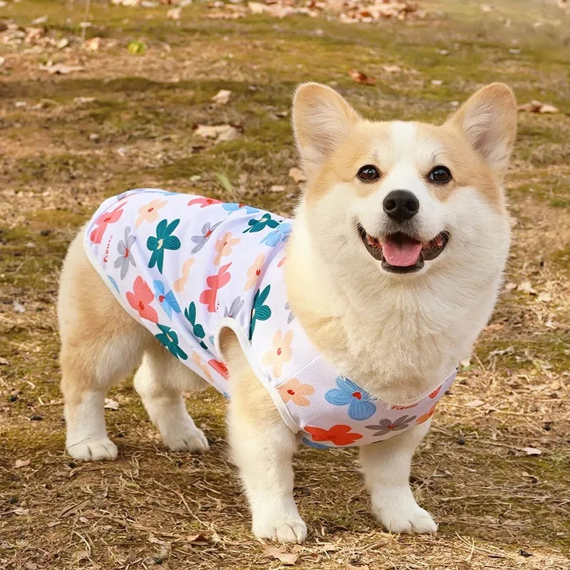Cooling Summer Vest for Dogs & Cats