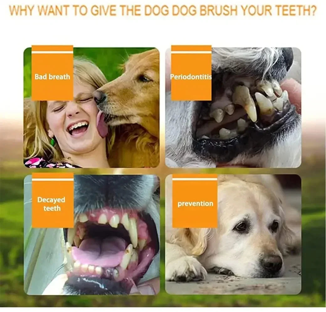 Pet Finger Toothbrush Kit – Soft Silicone