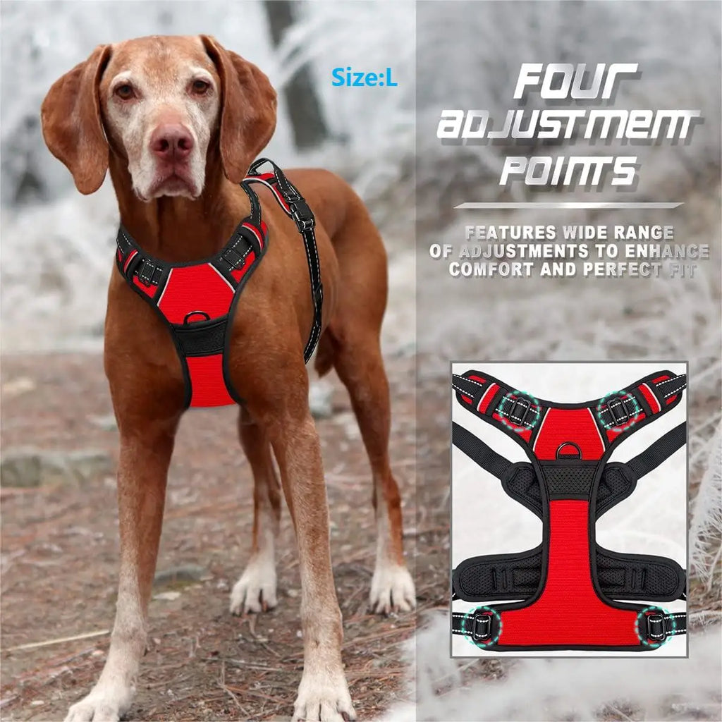 No-Pull Dog Harness – Front Clip, Reflective