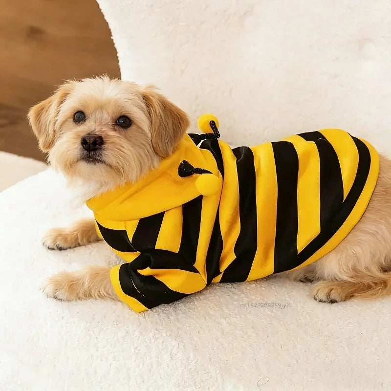 Bee Costume Hoodie for Dogs & Cats – Halloween